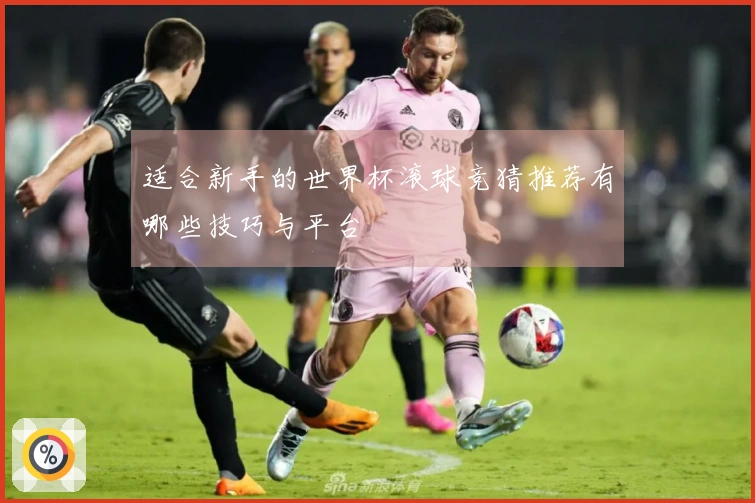 适合新手的世界杯滚球竞猜推荐有哪些技巧与平台