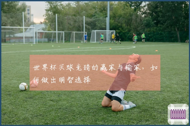 世界杯买球竞猜的赢家与输家，如何做出明智选择