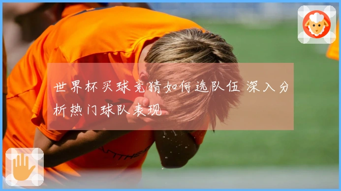世界杯买球竞猜如何选队伍 深入分析热门球队表现