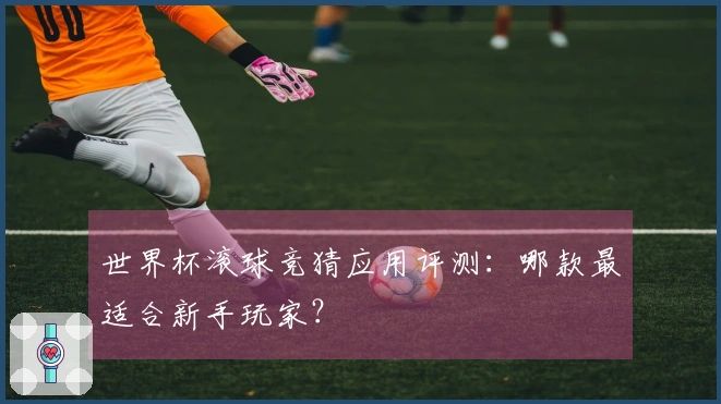 世界杯滚球竞猜应用评测：哪款最适合新手玩家？