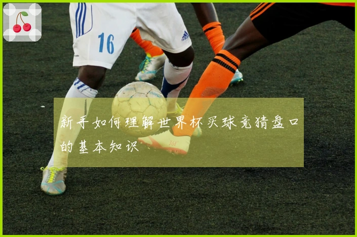 新手如何理解世界杯买球竞猜盘口的基本知识